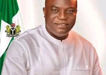 Sen. Neda Imasuen Restricted For Life In New York For Fraud, Gross Misconduct