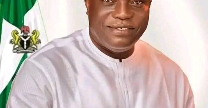 Sen. Neda Imasuen Restricted For Life In New York For Fraud, Gross Misconduct