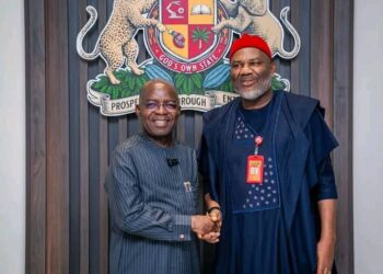 National Assembly Hails Governor Otti’s Historic Electricity Bill Signing