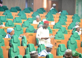 Hon. Aniekwe Amplifies Humanity Growth Through Strategic Legislative Oversight