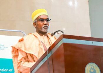 ECOWAS Action Needed Now: Tuggar Urges Swift Resolution Enforcement