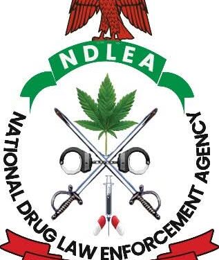 ₦777m Drugs Seized: NDLEA Cracks Down on Illicit Trafficking in Edo