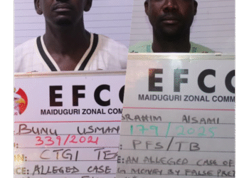 Maiduguri Justice: Two Fraudsters Sentenced to Jail