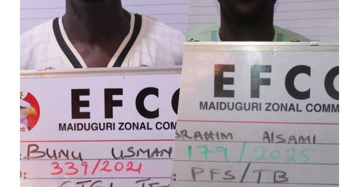 Maiduguri Justice: Two Fraudsters Sentenced to Jail