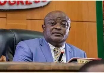 The Backbone of Democracy: Lagos Speaker Extols Parliament