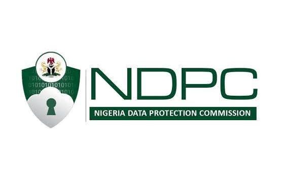 𝗠𝘂𝗹𝘁𝗶𝗰𝗵𝗼𝗶𝗰𝗲 𝗽𝗲𝗻𝗮𝗹𝗶𝘀𝗲𝗱 𝗳𝗼𝗿 𝗶𝗹𝗹𝗲𝗴𝗮𝗹 𝗰𝗿𝗼𝘀𝘀‑𝗯𝗼𝗿𝗱𝗲𝗿 𝘁𝗿𝗮𝗻𝘀𝗳𝗲𝗿, 𝗼𝘁𝗵𝗲𝗿𝘀