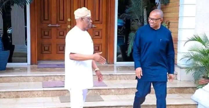 Fact-Check Uncovers Falsehood in Wike’s Attack on Peter Obi