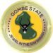 Gombe Greenlights N2bn for Rural Development and Lighting