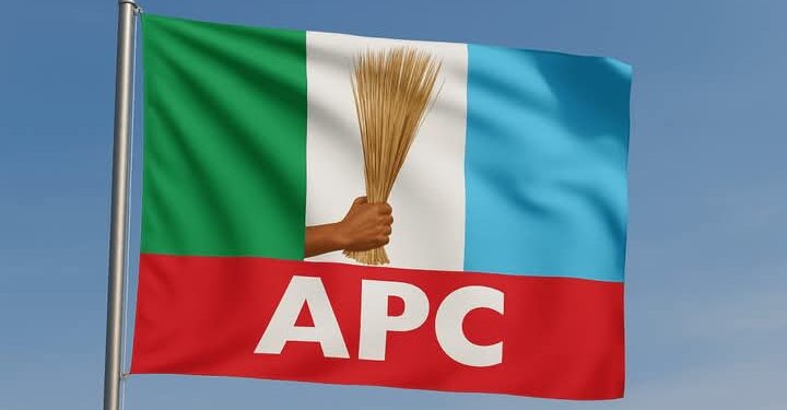 APC Set to Usher in New Era: Party Poised to Select New National Chairman