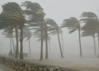 Yobe in Ruins: Windstorm Leaves Trail of Death and Destruction, 4 Killed, 1,637 Homes Destroyed