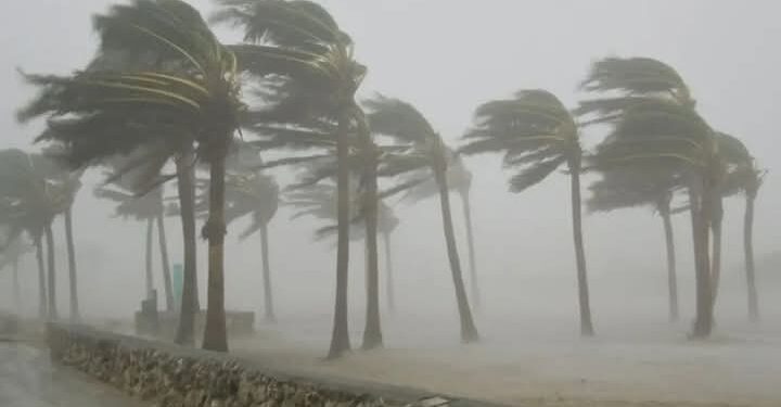 Yobe in Ruins: Windstorm Leaves Trail of Death and Destruction, 4 Killed, 1,637 Homes Destroyed