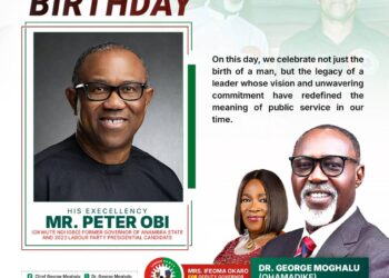 Dr. Moghalu Pens Heartfelt Birthday Message for Peter Obi