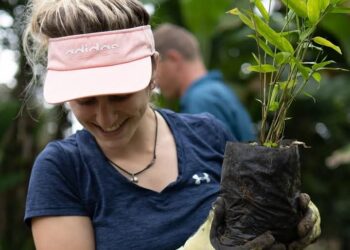 Bamboo Market Set to Hit $90 Billion by 2030