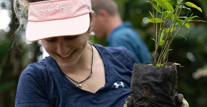 Bamboo Market Set to Hit $90 Billion by 2030