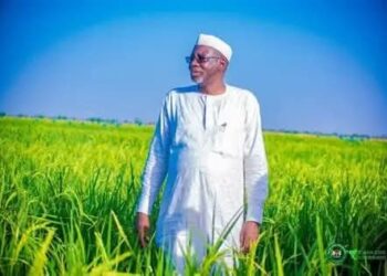 Agricultural Revolution: Namadi Initiative Empowers Jigawa Civil Servants