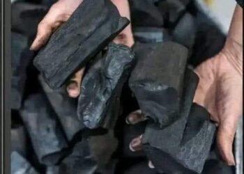 Unlocking the Power of Charcoal