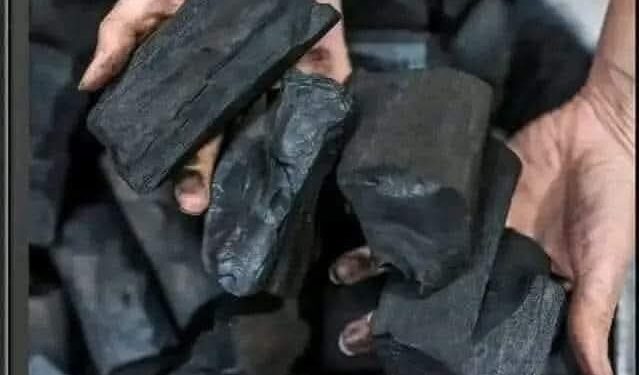 Unlocking the Power of Charcoal