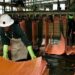 17.9% Surge in Copper Production