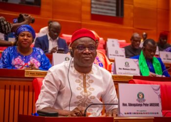 Hon. Peter Aniekwe’s Steadfast Leadership; Rising Anambra’s Hope