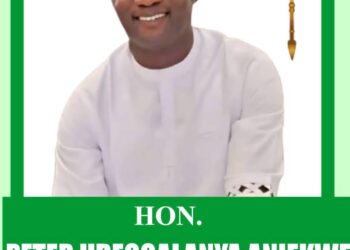 Hon. Aniekwe; A Responsible Leadership and Enduring Service