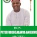 Peter Aniekwe: Giving Anambra East and West a Stronger Future