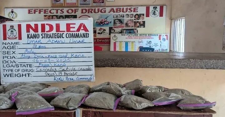 300,000 Exol-5 Pills Worth Millions Seized in Niger, Kaduna