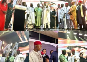 Senator Ned Nwoko Honoured as Best Performing Senator