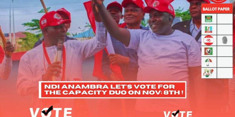 Rally Behind Col. Prof Geoff Onyejegbu for True Representation