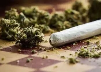 1.4 Tonnes of Marijuana Intercepted in Edo State