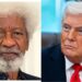 Wole Soyinka Slams Trump’s Threat of Military Invasion