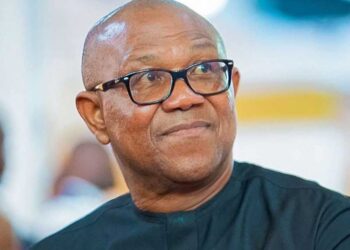 Both Countries Must Work in Concert on Security, Peter Obi