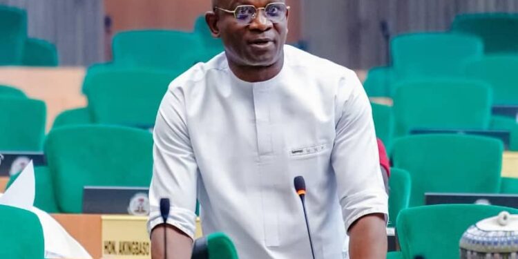 Hon. Aniekwe Emerges as a Strong Voice for Development