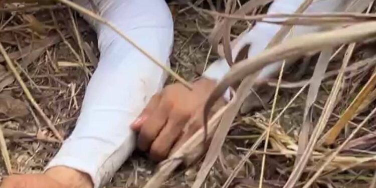 Indaboski Bahose Cries Out from the Wilderness in 2026