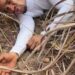 Indaboski Bahose Cries Out from the Wilderness in 2026