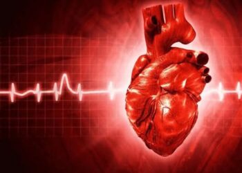 WHO Pushes for Higher Taxes on Sugary Drinks and Alcohol