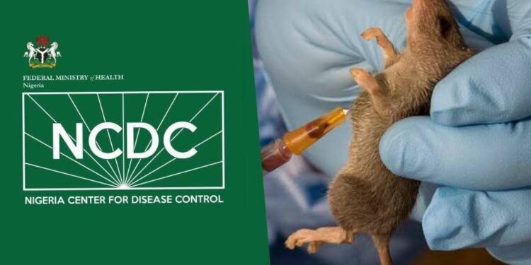 Citizens Advised to Maintain Good Hygiene, Avoid Rodents