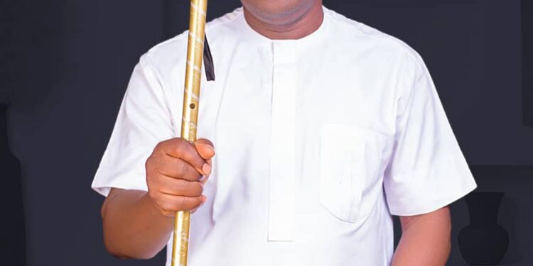 Chief Okey Uwadiegwu Elected President General of Nando