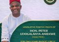 Aniekwe’s 2024–2025 Budget Cycles Legislative Gains