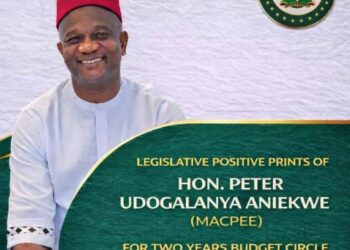 Aniekwe’s 2024–2025 Budget Cycles Legislative Gains