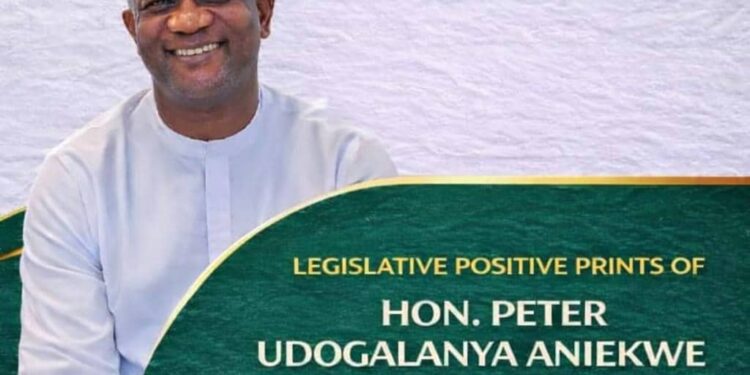 Aniekwe’s 2024–2025 Budget Cycles Legislative Gains