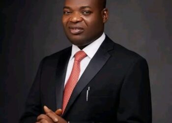 How Senator Tony Nwoye Is Strengthening the Grassroots