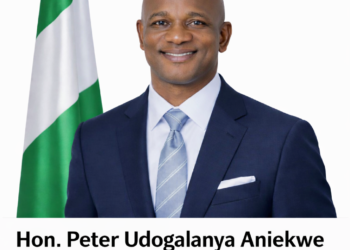 Aniekwe Delivers What Truly Matters, No Noise, Just Results