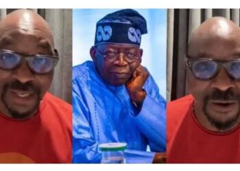 Fayose slams Tinubu over his boastful election comments