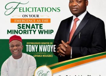 Aniekwe maintains that Nwoye’s emergence is a Win for Democracy
