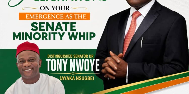 Aniekwe maintains that Nwoye’s New Role is a Win for Democracy
