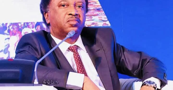 JUST IN: 2027, Why I’m going back to Senate – Shehu Sani