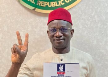 Aniekwe Picks NDC Form To Advance Effective Representation