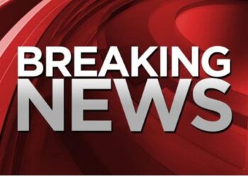 JUST IN: VeryDarkMan Leads Massive Protest in Abuja