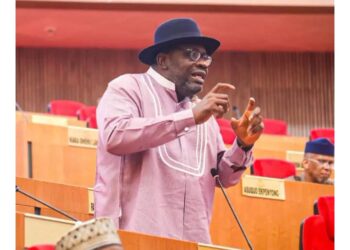 JUST IN: NDC: It won’t stand – Seriake Dickson reacts