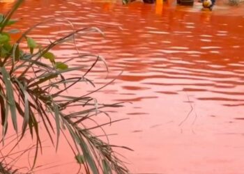 Cross River Residents Scoop Free Red Oil After Tanker Spills Load